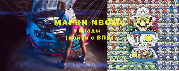 ПСИЛОЦИБИНОВЫЕ ГРИБЫ Баксан