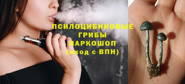 ПСИЛОЦИБИНОВЫЕ ГРИБЫ Баксан