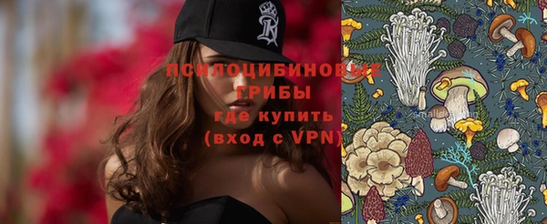 ПСИЛОЦИБИНОВЫЕ ГРИБЫ Баксан